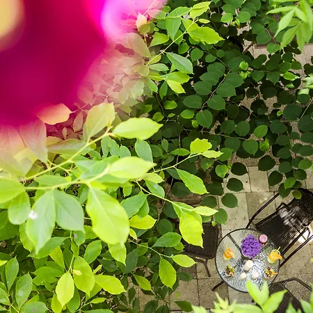 Platinia - Komfortowe Stare 3* Cracóvia