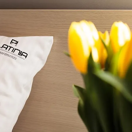 Platinia - Komfortowe Stare Krakov