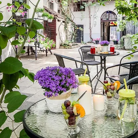 Platinia - Komfortowe Stare 3* Krakov